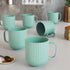 Pastel Fringe Green Ceramic (Set of 6) - The Earth Store - Mug Set